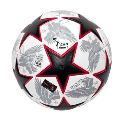 Beşiktaş Futbol Topu Eagle
