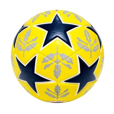 Fenerbahçe Futbol Topu Leaf