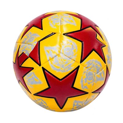 Galatasaray Futbol Topu Lion