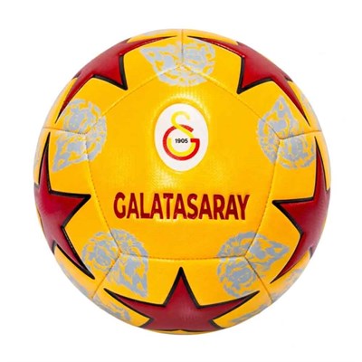 Galatasaray Futbol Topu Lion
