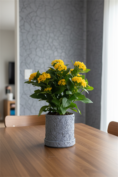 Saksı 22x22x22cm No.102