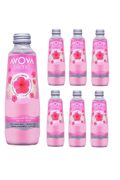 Blend 6lı Hibiskus Meyveli Maden Suyu 250 ml