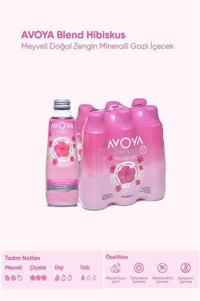 Blend 6lı Hibiskus Meyveli Maden Suyu 250 ml