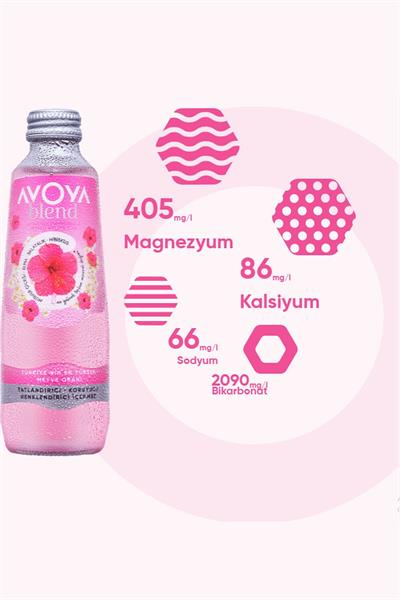 Blend 6lı Hibiskus Meyveli Maden Suyu 250 ml