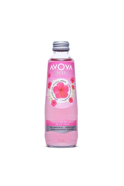Blend 6lı Hibiskus Meyveli Maden Suyu 250 ml