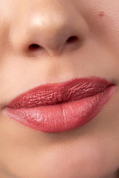 Pastel Nude Lipstick Ruj No:542
