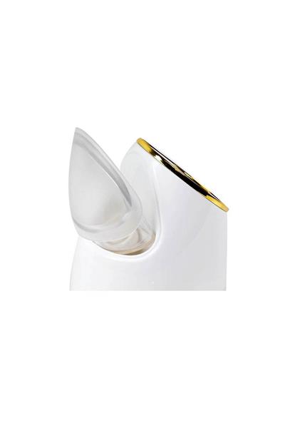 Yüz Buhar Makinesi Nano Ionic Facial Steamer Prestige Grup