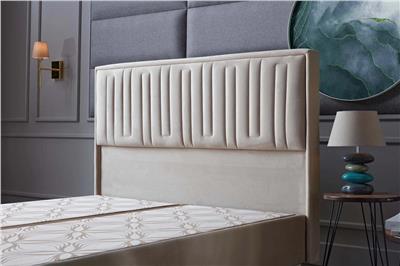 BLLN 90 LIK PETRA BAŞLIK / VIKA KREM