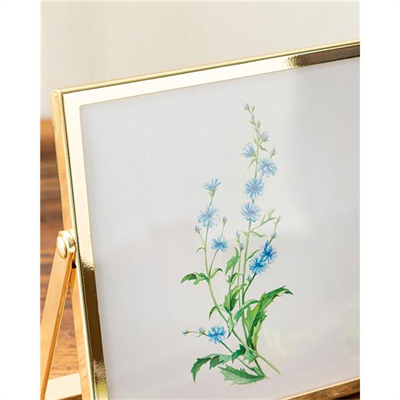 English Home Felicita Çerçeve 13x18 cm Gold