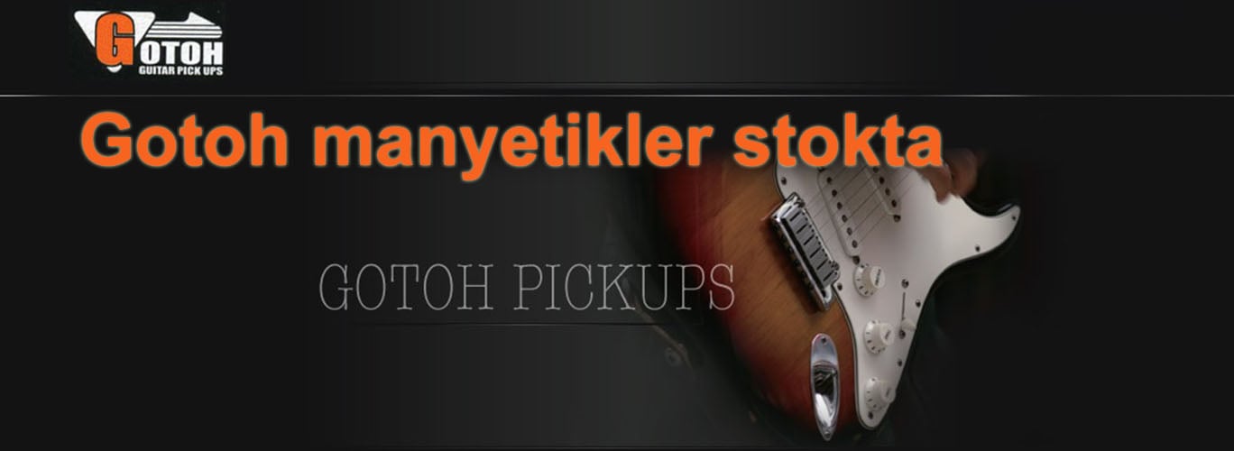 Gotoh manyetikler