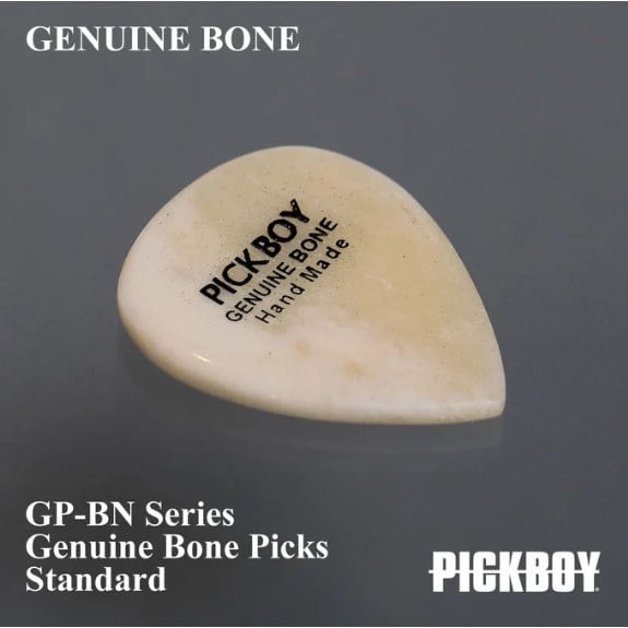 Pickboy BN1 Kemik Pena Seti 5 Adet