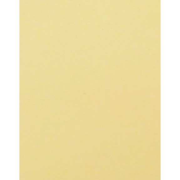 XD01 Pickguard Levhası Fildişi Tek Kat 315mm-240mm