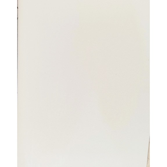 XD03 Pickguard Levhası Vintage White Üç Kat 315mm-240mm