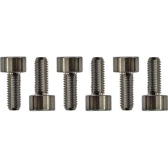 Floyd Rose FROSMSTIP Special-Lisanslı ve 1000 Serisi Titanyum Saddle Montaj Vida Seti
