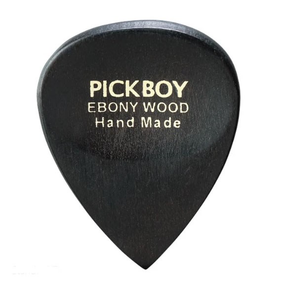 Pickboy GPEP1 Abanoz Pena Seti 5 Adet