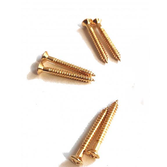 S.I.C S3025GD Kapak ve Pin Vidası Altın (6 Adet)