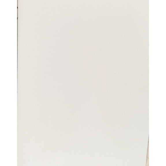 XD03 Pickguard Levhası Vintage White Üç Kat 315mm-240mm