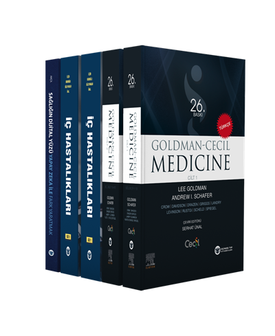 2025 Dahiliyenin Muhteşem Üçlüsü (3 ÇOK SATAN BU SETTE)