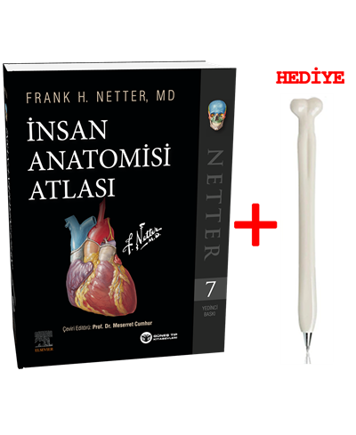 Netter İnsan Anatomisi Atlası