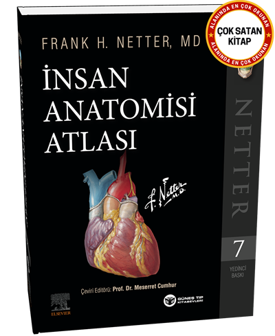 Netter İnsan Anatomisi Atlası