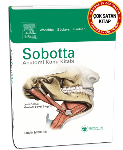 Sobotta Anatomi Konu Kitabı
