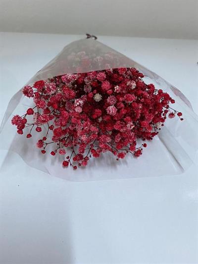 Kırmızı Şoklanmış Cipso