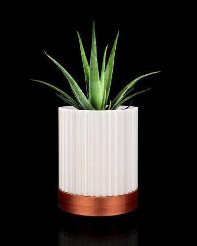 Greennest Mini Duvar Saksısı Sukulent Dekoratif Duvar Saksısı
