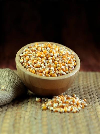 Ata Tohumu Cin Mısır 1 KG