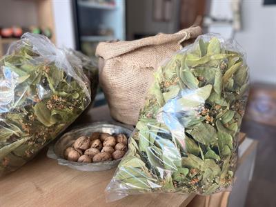 Organik Ihlamur 100 GR