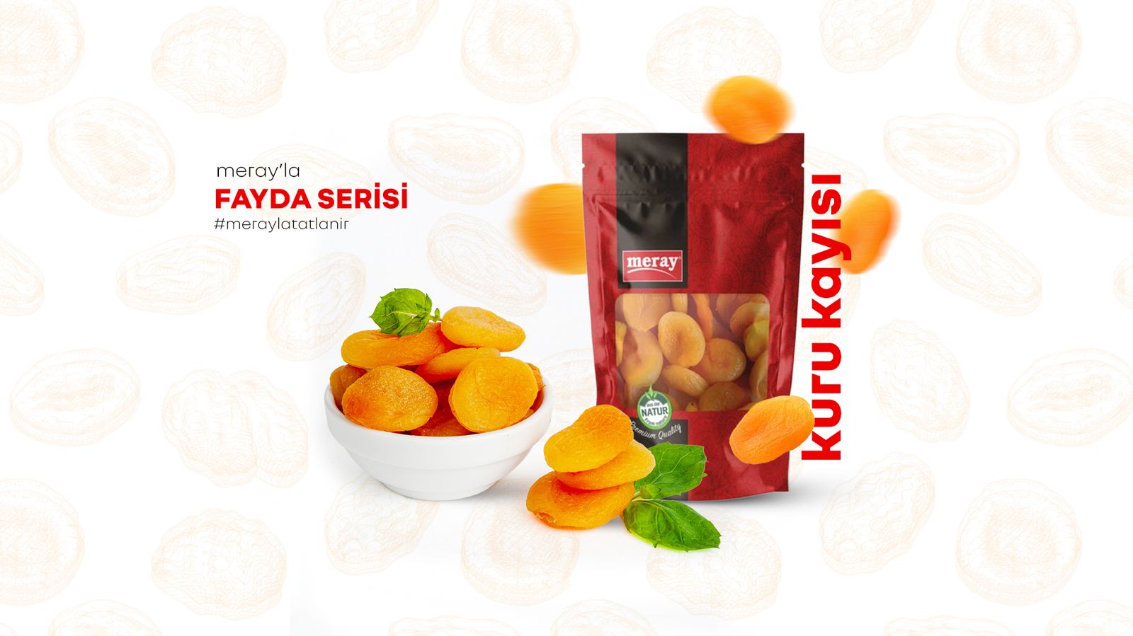 Kuru Kayısı'nın Faydaları Nelerdir?