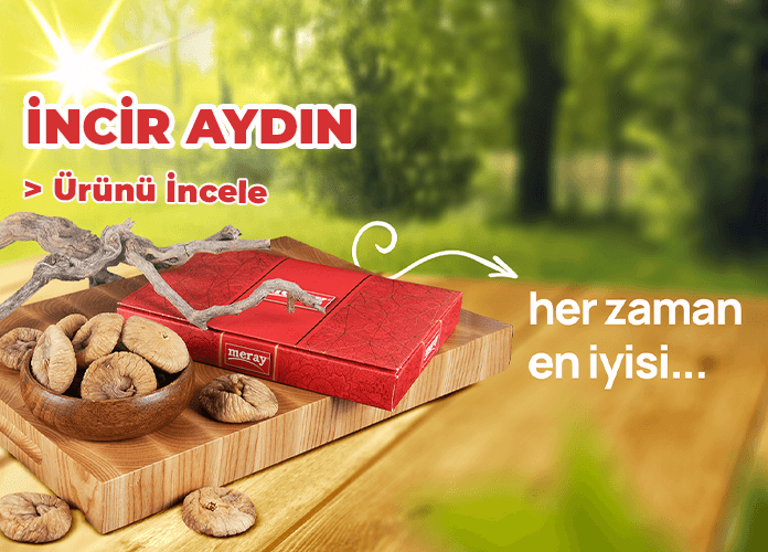 incir-aydın