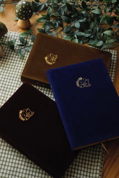 Lüks Kadife Temalı 3lü Defter Seti