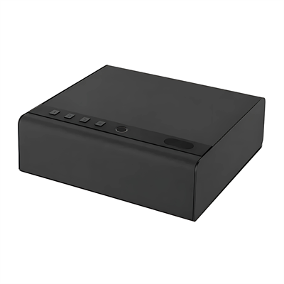 Kale KD060/60-100 Parmak İzli Silah Kasası