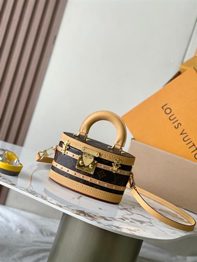 Louis Vuitton Ellis Trunk Handbag – Vintage Monogram