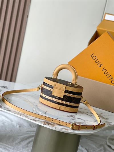 Louis Vuitton Ellis Trunk Handbag – Vintage Monogram