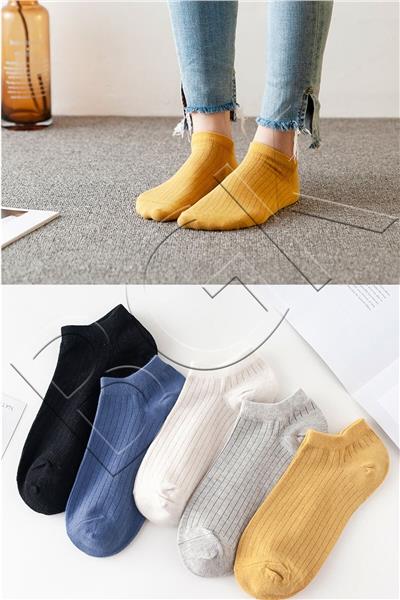 Unisex 5'li Yazlık Renkli Çorap