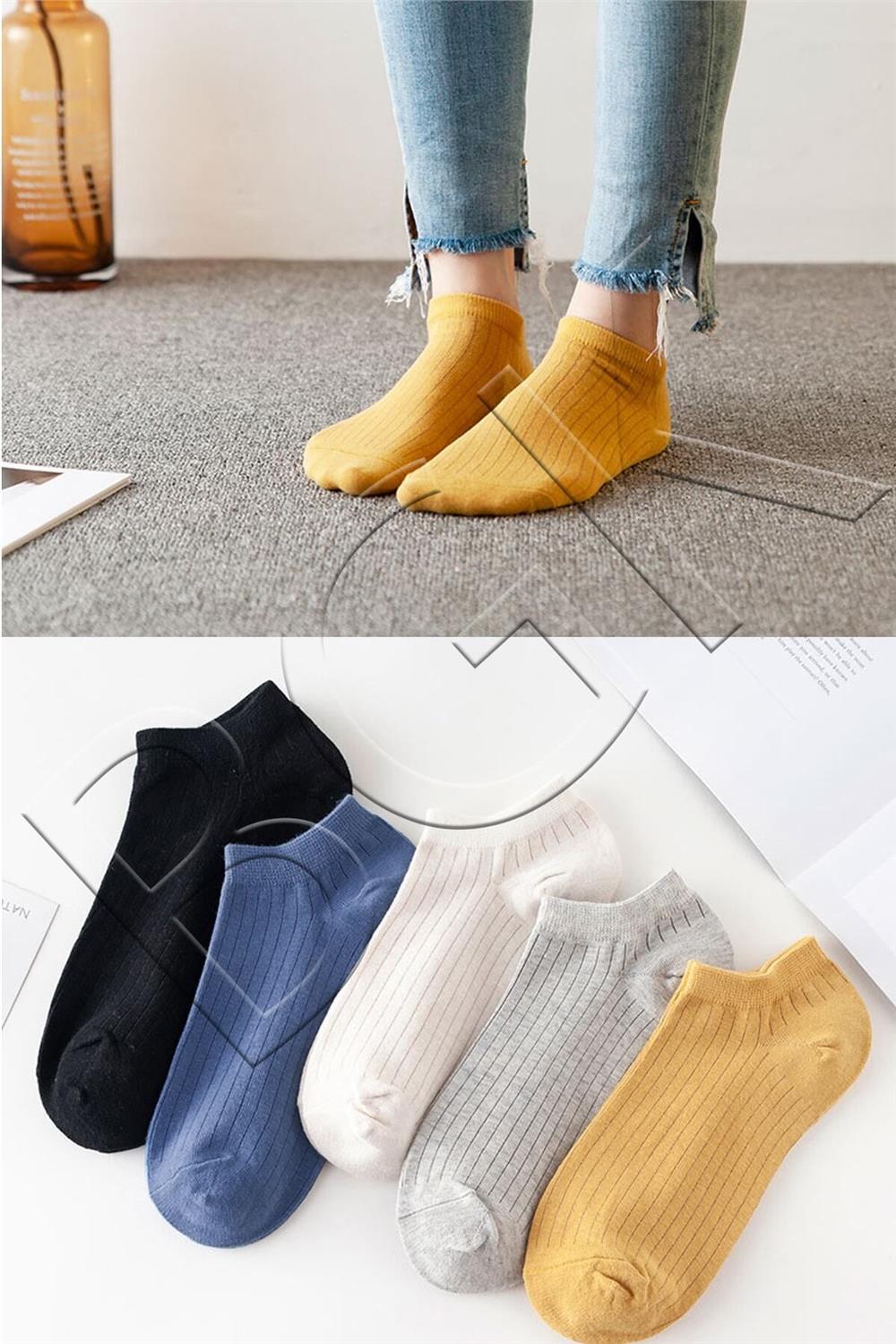 Unisex 5'li Yazlık Renkli Çorap