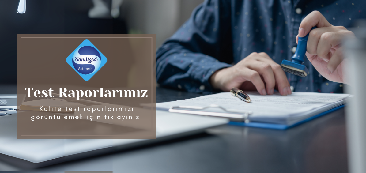Test Raporları
