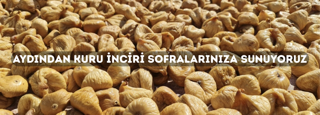 kuru-incir