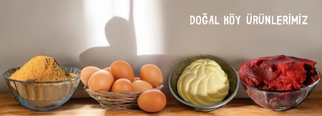aydin-köy-ürünleri
