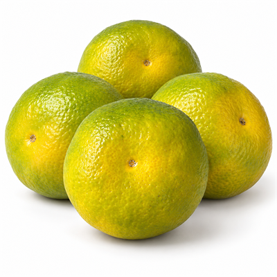 Dalından Taze Mandalina 1 KG