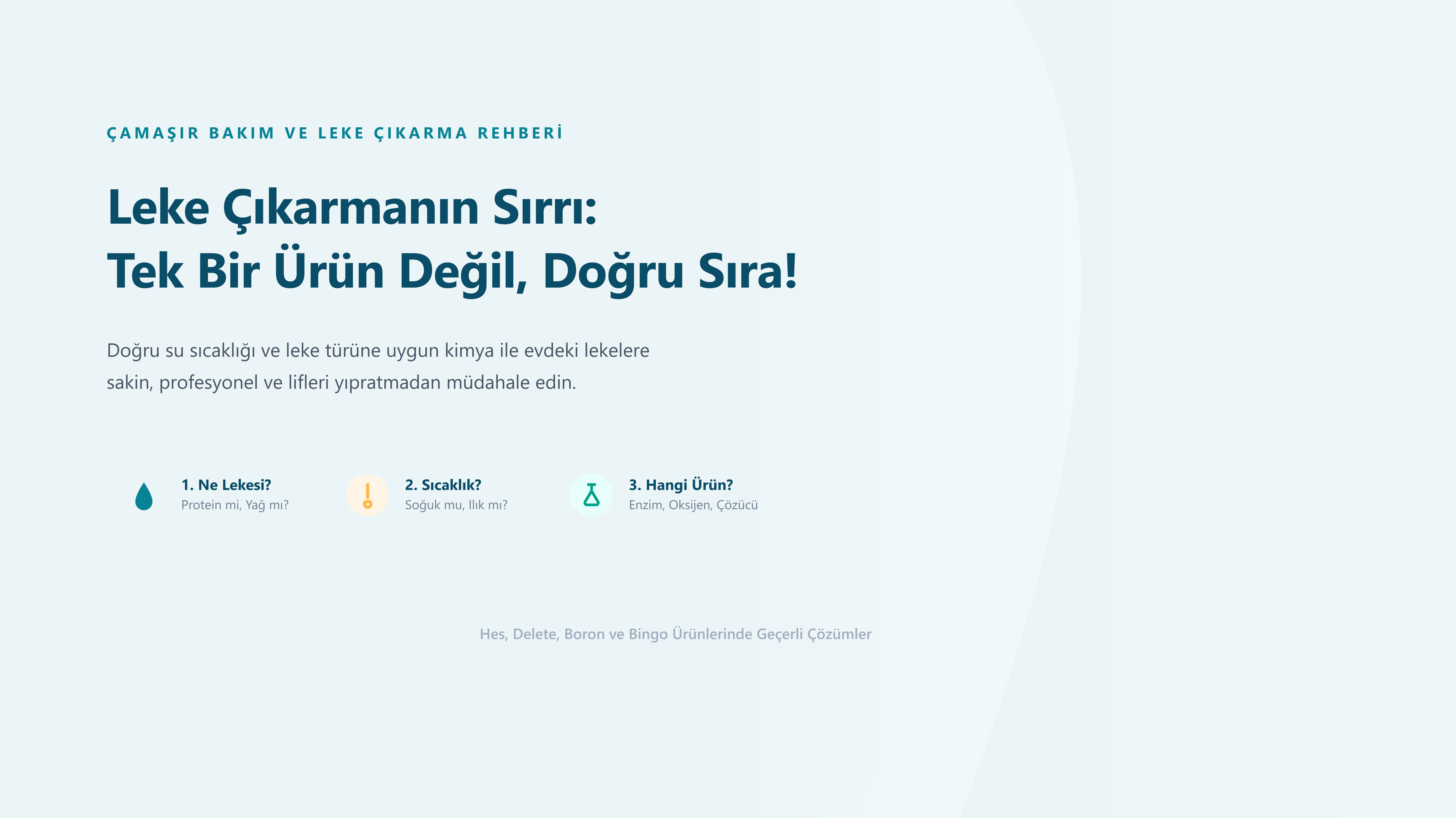 Leke Çıkarıcı Nasıl Seçilir ?