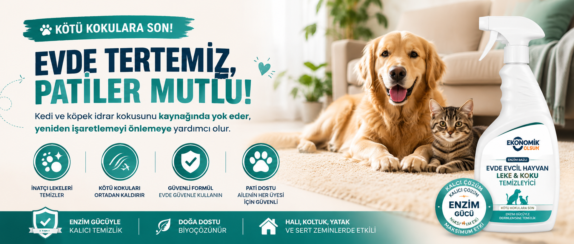 Evde Kedi ve Köpek İdrar Kokusu Nasıl Giderilir? Yüzeye Göre Rehber