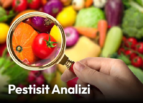 Pestisitsiz Reçeller