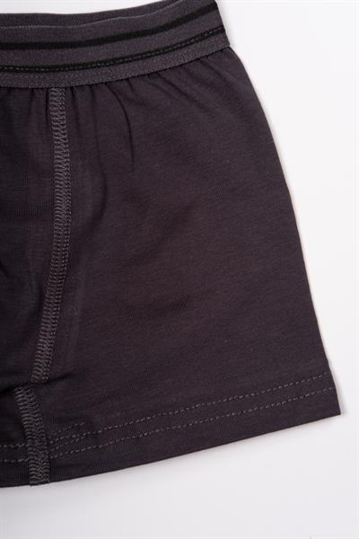 Erkek Çocuk Pamuklu Boxer Füme