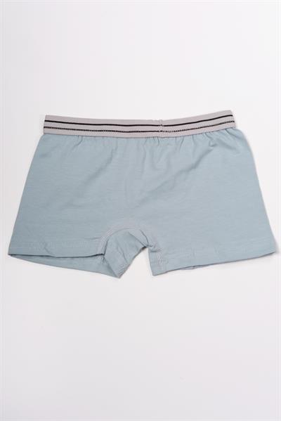Erkek Çocuk Pamuklu Boxer Mint