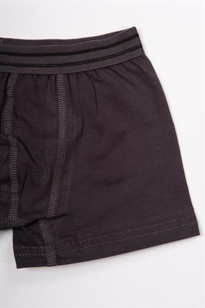 Erkek Çocuk Pamuklu Düz Boxer Füme