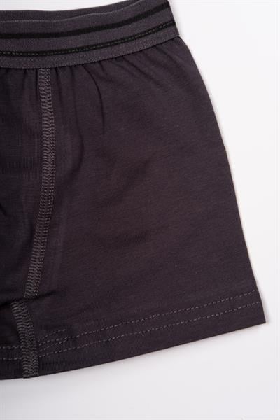 Erkek Çocuk Pamuklu Düz Boxer Füme