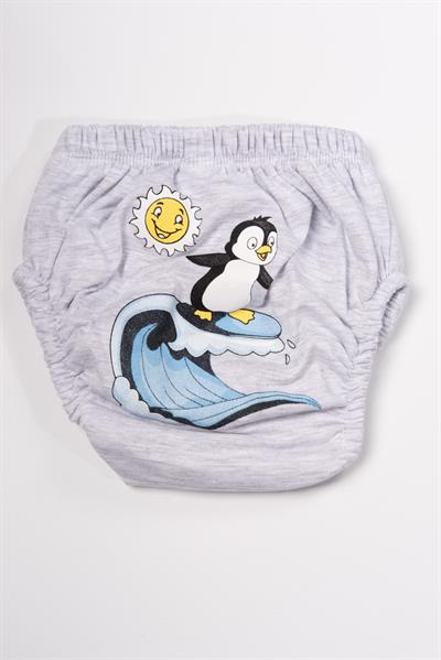 Penguen Desenli Erkek Çocuk Külot Gri