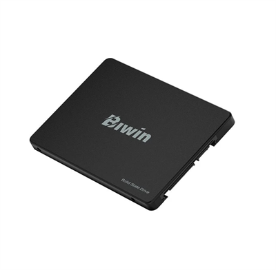 Biwin M100 256GB 2.5